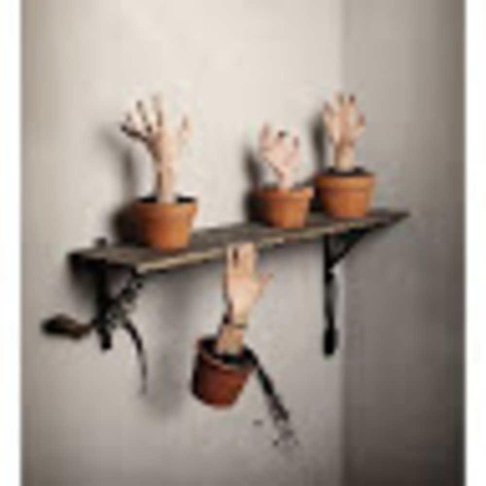 Meet your Posher, Lupe